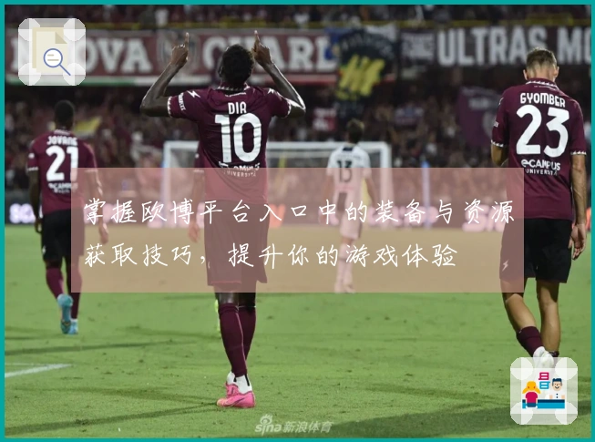 掌握欧博平台入口中的装备与资源获取技巧，提升你的游戏体验